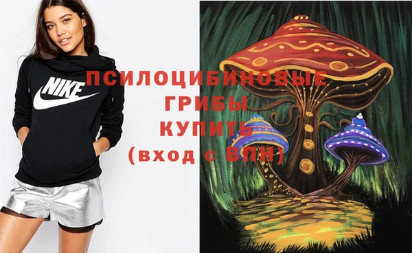а пвп мука Няндома
