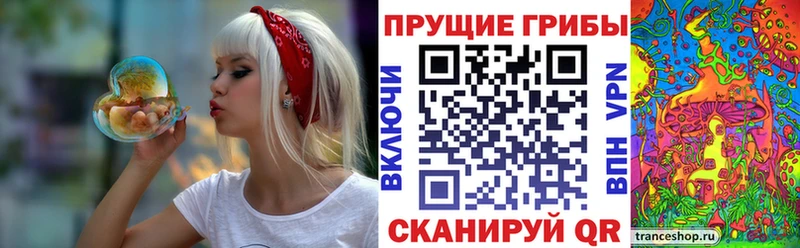 кракен ТОР  закладка  Хадыженск  Псилоцибиновые грибы GOLDEN TEACHER 